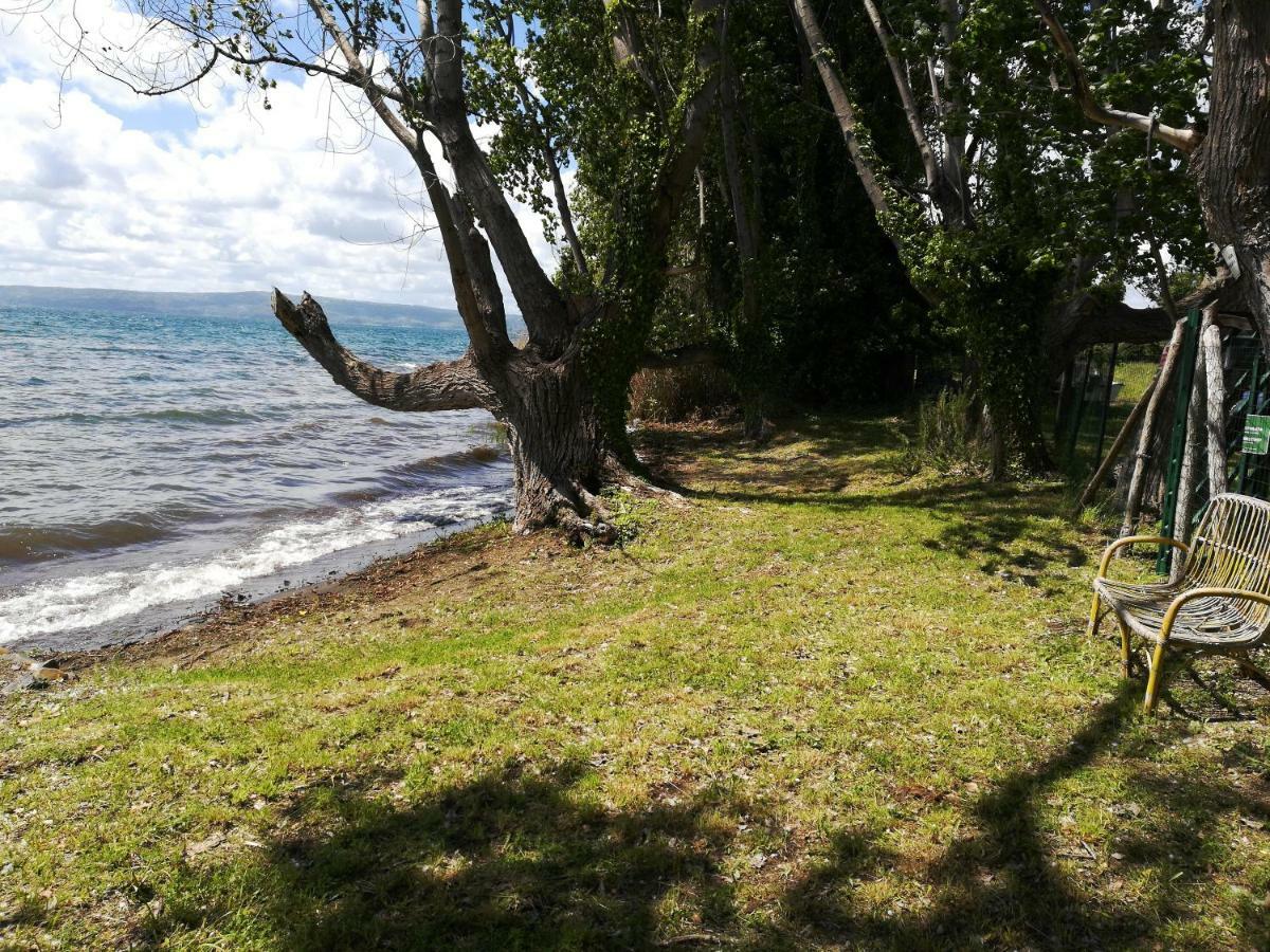 Podere Sant'Antonio Bolsena Dış mekan fotoğraf